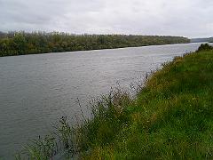 Синчигуры 017